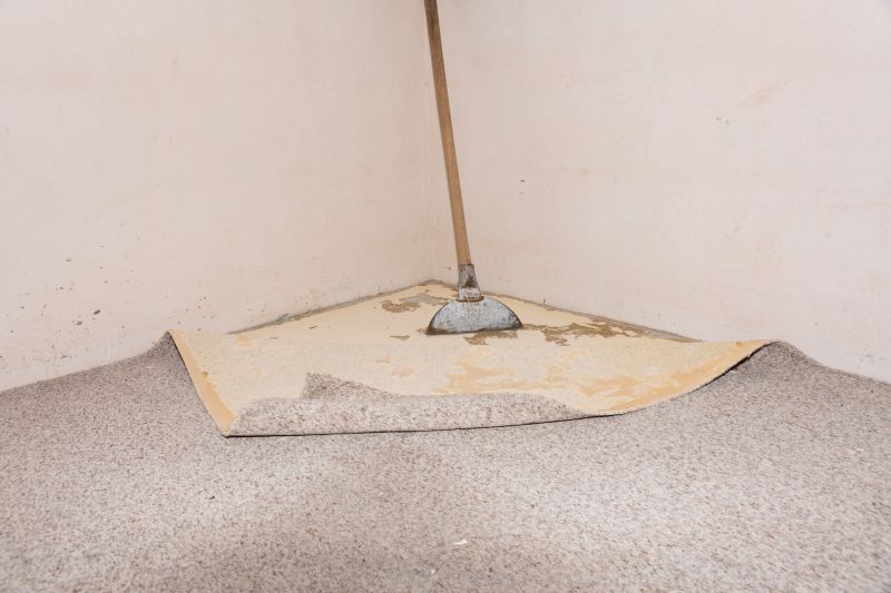 Basement Carpet Repair in Overland Park, KS