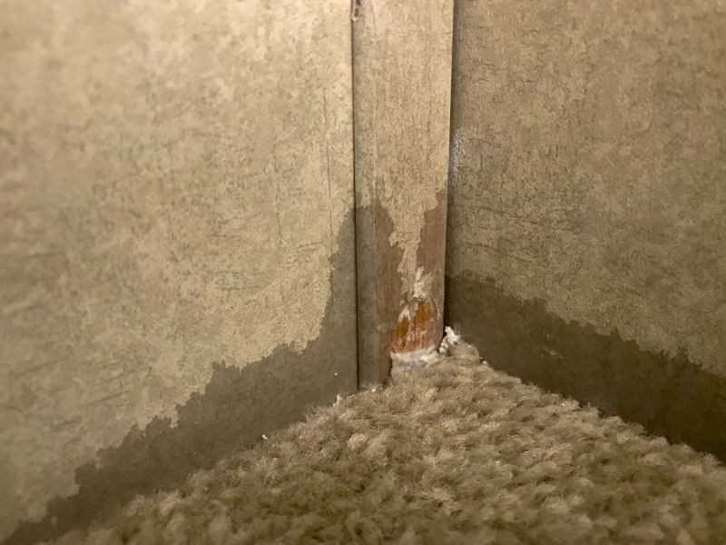 Commercial Carpet Repair in Overland Park, KS
