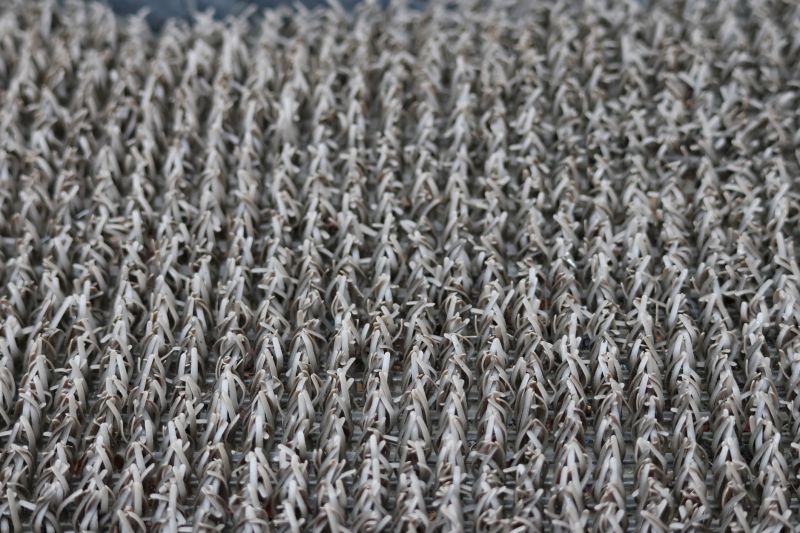 Stair Carpet Repair in Overland Park, KS