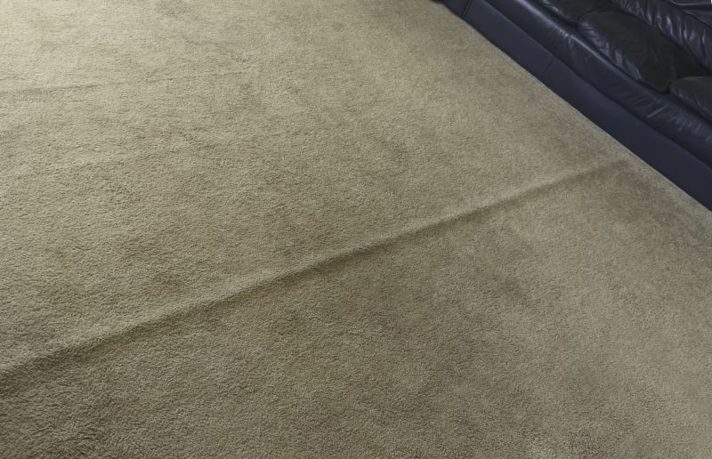 Carpet Burn Repair in Olathe, KS